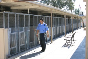 worker at the Baldwin Park Animal Shelter